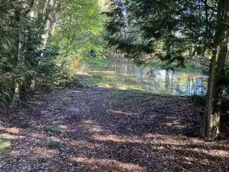 vente - terrain hechtel-eksel - 20 500 €