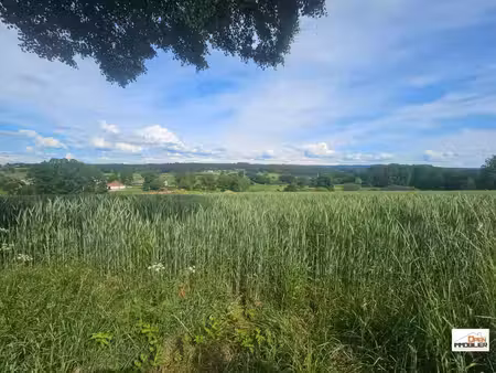 terrain borné et viabilisé avec vue