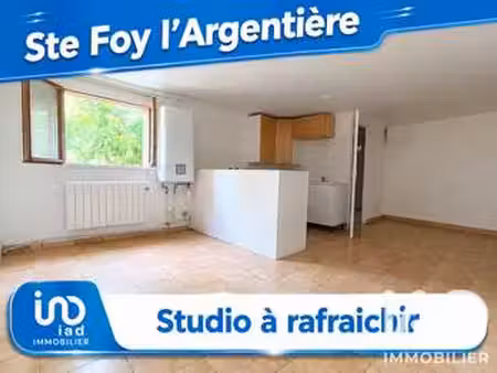 vente appartement t1 à souzy (69610) : à vendre t1 / 24m² souzy