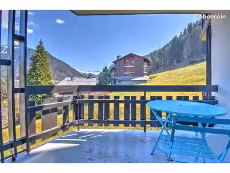 magnifique appartement ( octobre à avril 2027)