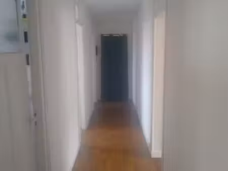 appartement en location t3 très calme