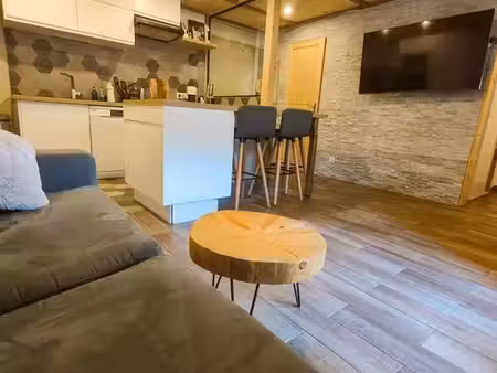 t2 meublé 35 m² – grande terrasse 25 m² – parking & cave – scionzier