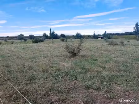 terrain chevaux