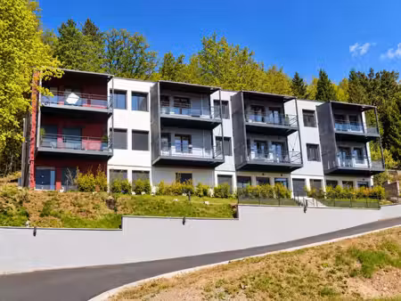 location appartement 2 pièces 42 m² à épinal (88000)