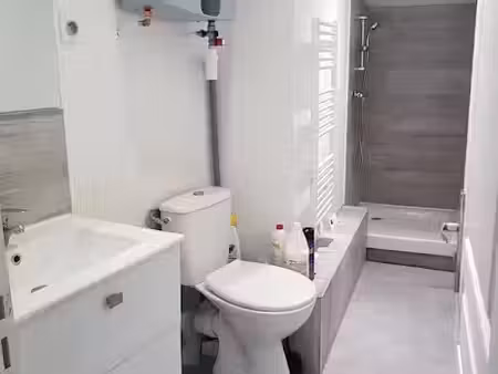 location appartement 2 pièces 45 m² à givors (69700)  713 €