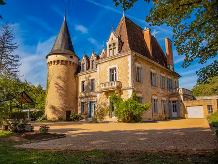 chateau à vendre à saint-germain-des-prés (24160) - dordogne