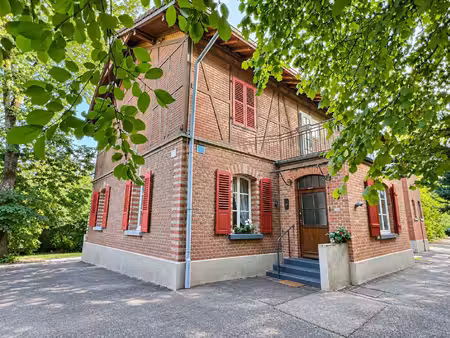 investissement - propriété 3 appartements - 371m2 - sarralbe