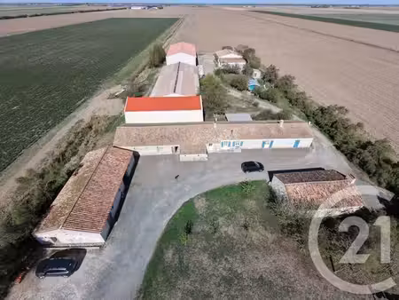 maison à vendre - 4 pièces - 156 m2 - champagne les marais - 85 - pays-de-loire