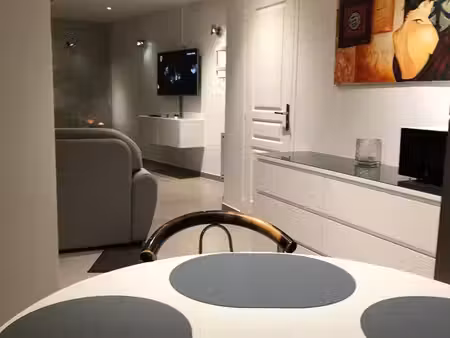 spacieux t1 cosy de 47 m² – bas-montreuil