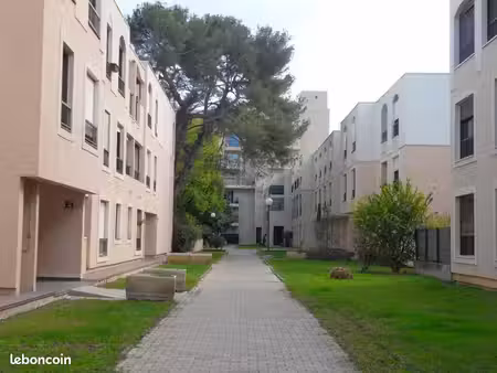 appartement 1 pièce 19 m²