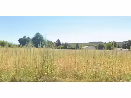 vente terrain 2942 m² à blis-et-born (24330)  60 000 €
