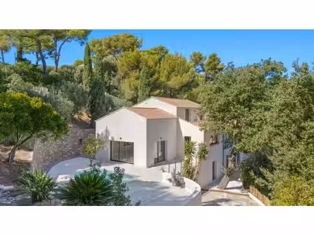 villa de luxe à vendre dans le quartier zone du roubaud
