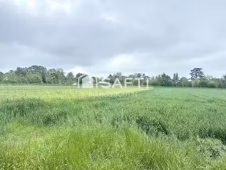 vente terrain à batir 8139 m² à saint-symphorien (79270)  579 000 €