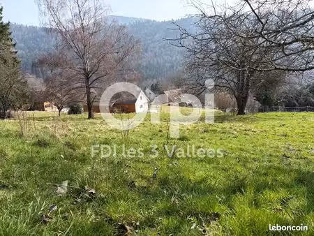 terrain 3 606 m² goldbach altenbach