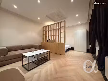 appartement 1 pièce 42 m²