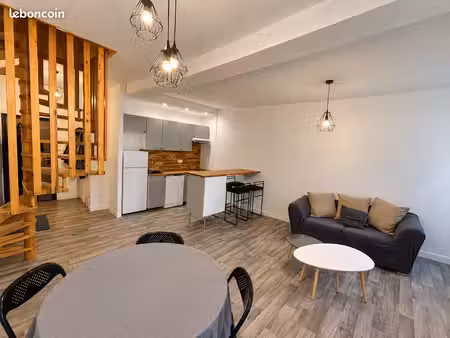 charmant t2 meublé et rénové - 65 m² - le puy-en-velay