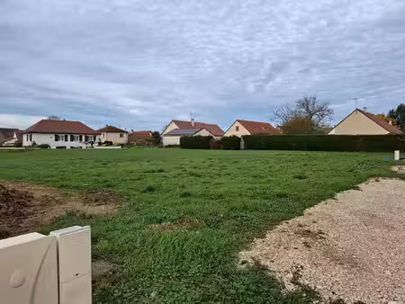 les allées du parc