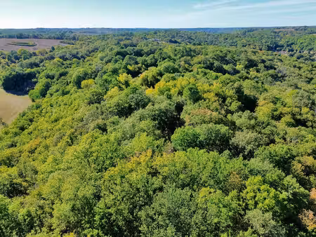 forêt de plus de 10 hectares