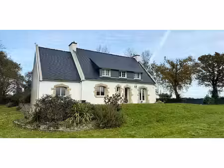 maison avec jardin quimperle (29)