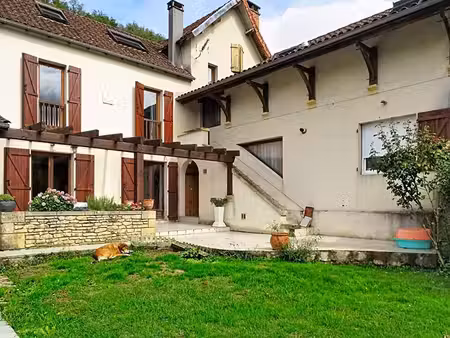 maison montignac lascaux 11 pièce(s) 234.89 m2