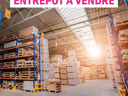 local d'activité entrepôt de 789 m² ste marie