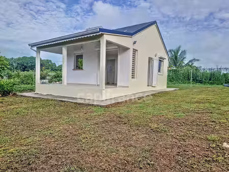 maison t2 à louer - 1 chambre  location nue  jardin - néron  le moule (971)