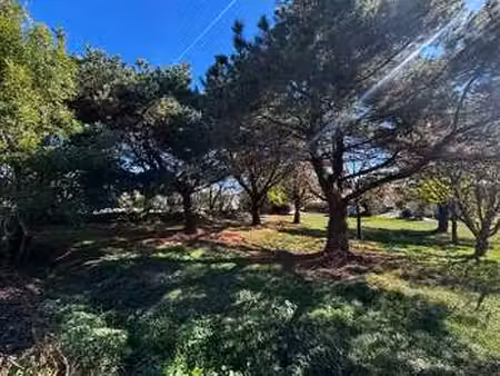vente terrain à l'aiguillon-sur-vie (85220) : à vendre / 534m² l'aiguillon-sur-vie