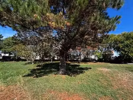 vente terrain à l'aiguillon-sur-vie (85220) : à vendre / 558m² l'aiguillon-sur-vie