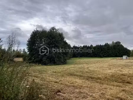 terrain de 1 000 m² à raveau