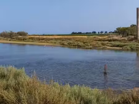 vente terrain à villeneuve-lès-maguelone (34750) : à vendre / 1185m² villeneuve-lès-maguel