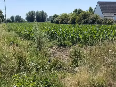 terrain 650 m² wittes