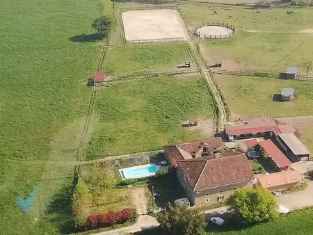 loue structure équestre  boxes  carrière  rond de longe  6 hectares avec abris...