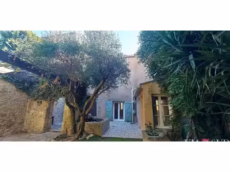 maison avec terrasse pailhes (34)