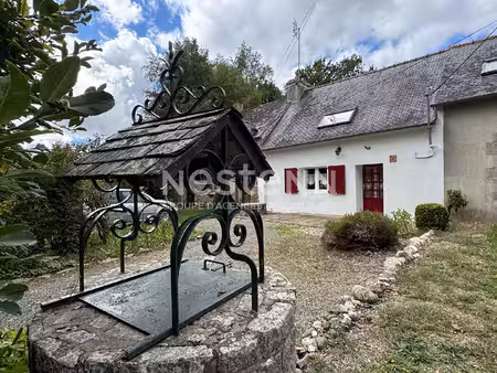 à vendre à naizin ? charmante maison avec jardin
