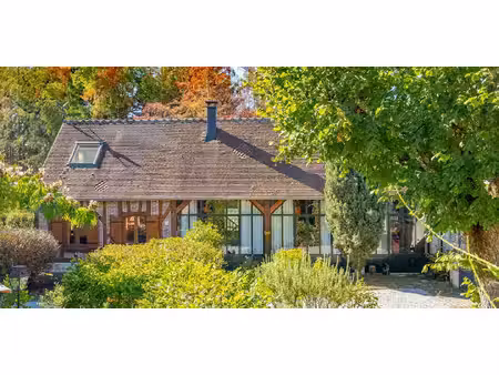 maison avec terrasse courmemin (41)