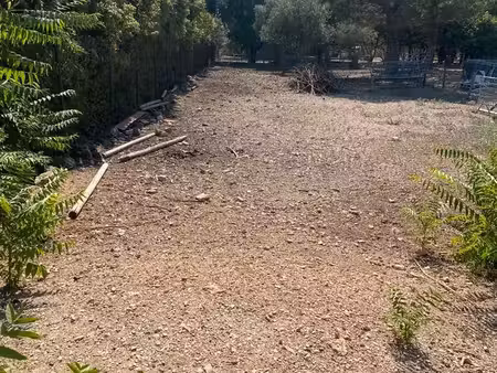 terrain constructible