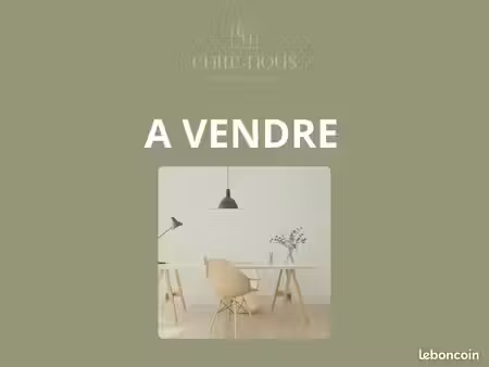 local 120 m² lyon