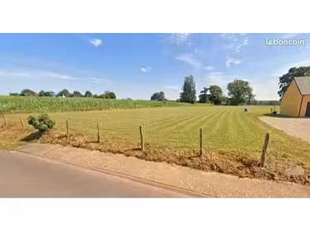 terrain constructible
