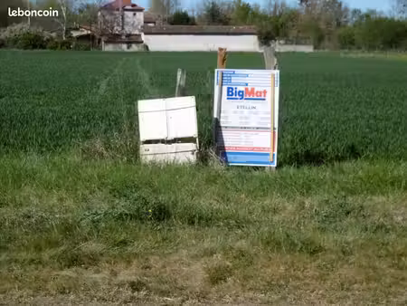 terrain constructible