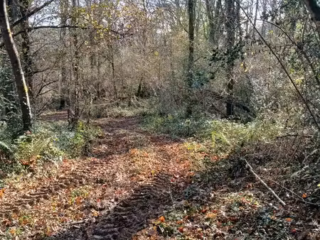 3 parcelles boisées de 1.69 he à anoye