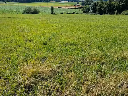 vendre 2 lots de terrain
