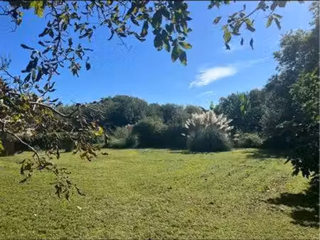 terrain de 1100 m2  divisible  forêt en première ligne