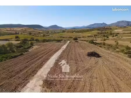 terrain 36342 m² tautavel