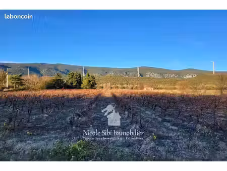 terrain 38451 m² caudiès-de-fenouillèdes