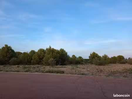parcelle de terre en nature de landes avec amandiers