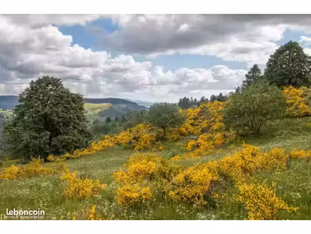 apiculteur cherche terrain