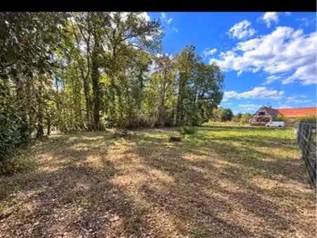 ? terrain à bâtir 14 43 ares – biblisheim – cadre exceptionnel en bordure de forêt