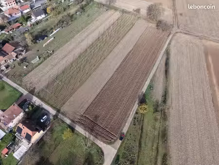 terrain 1667 m² eckwersheim
