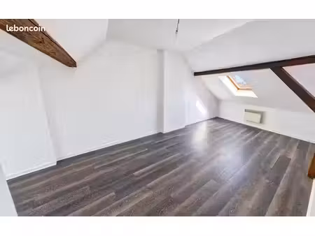 krutenau – duplex au dernier étage avec vue cathédrale – famille ou investissement
