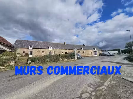 murs commerciaux bord de rn12